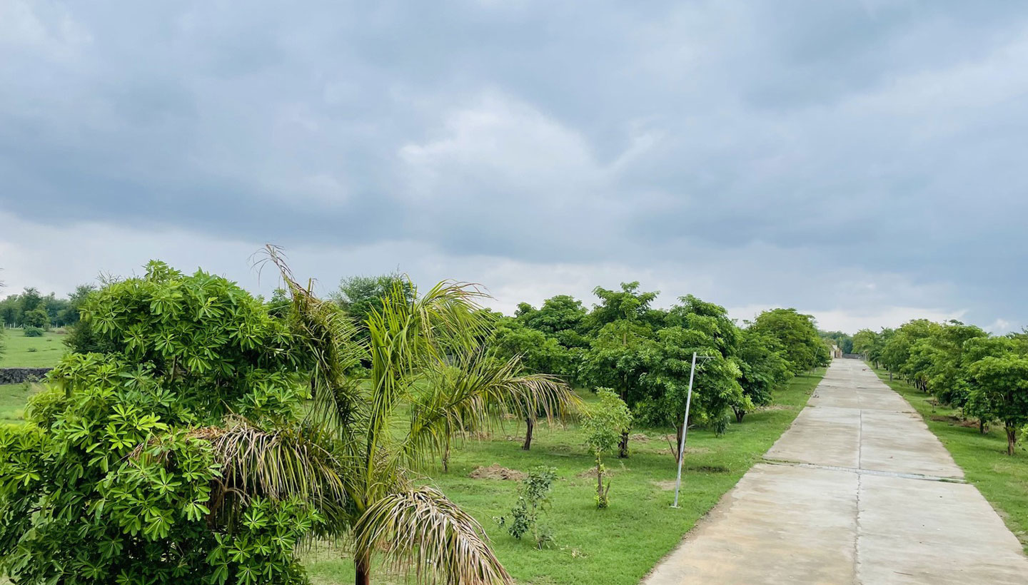 Silver Sand View 2